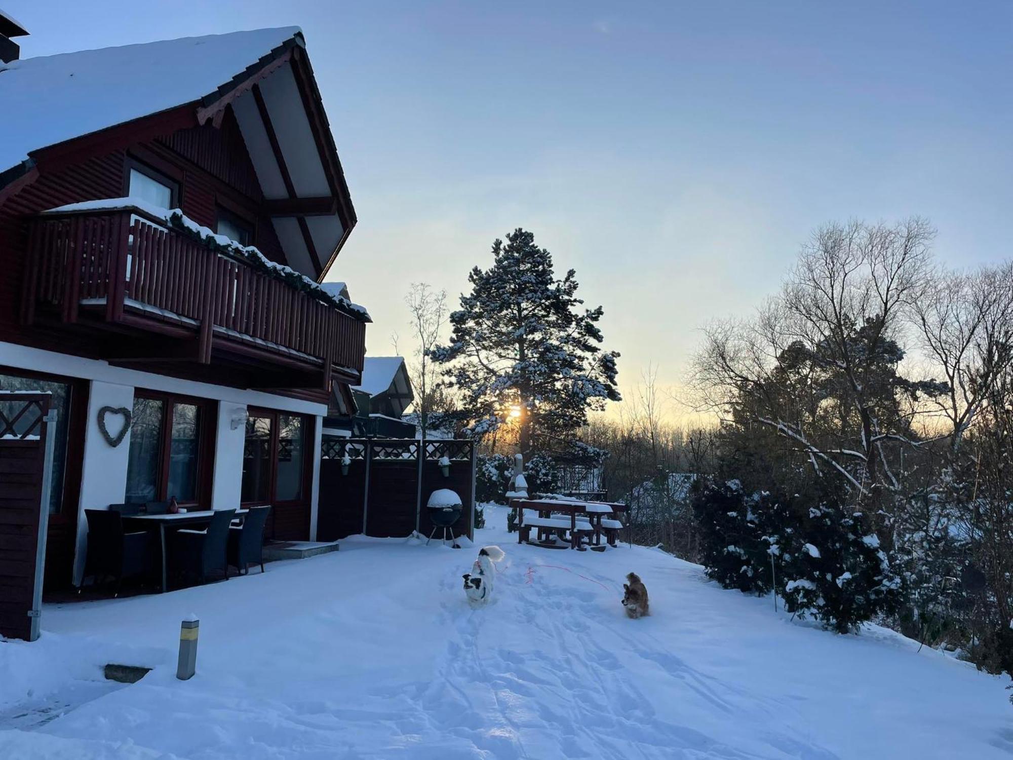 Ferienhaus Lisa Am Silbersee Villa Frielendorf Luaran gambar